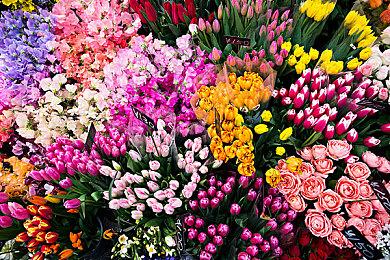 《幻兽帕鲁》新预告 2024年1月EA发售